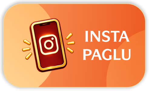 Insta Paglu theme